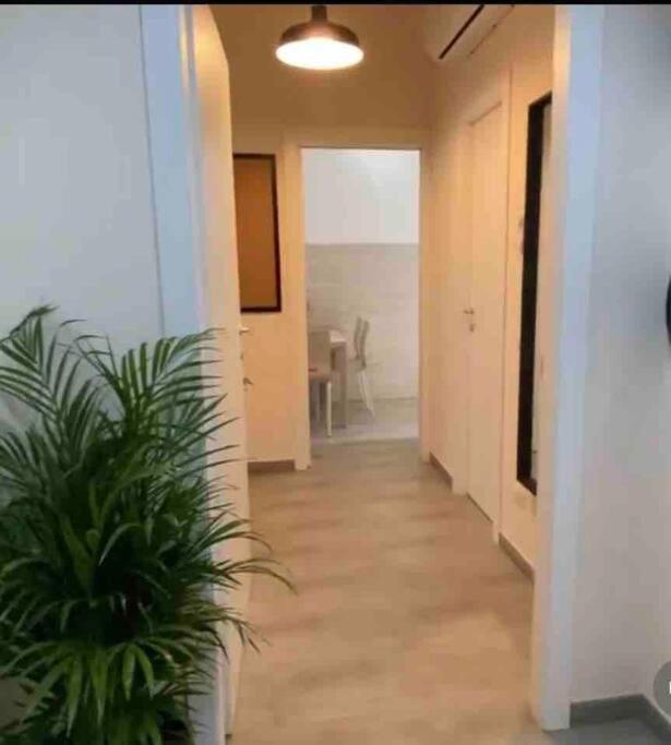 Casa Zia Gina Guest House Nel Centro Di Roma ภายนอก รูปภาพ